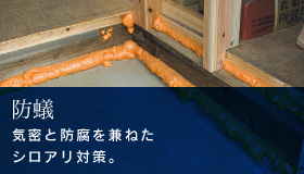 防蟻