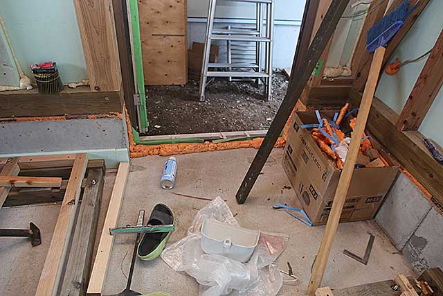 内部・玄関防蟻処理